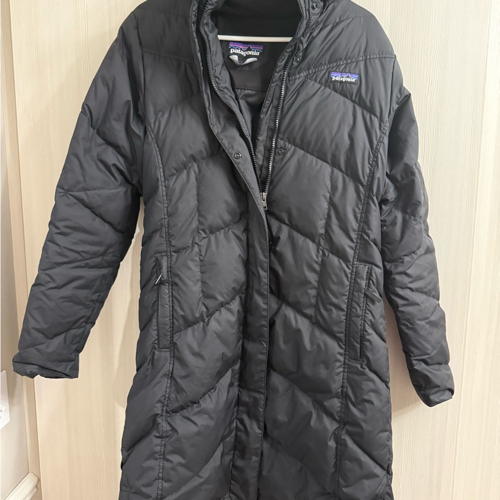 Patagonia Women’s Down With It Parka